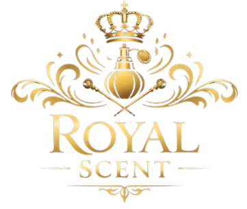 whatsapp image 2026 02 17 at 22.00.50 removebg preview